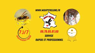 Logo Midipy Frelons