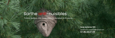 Logo Sarthe Anti-nuisibles